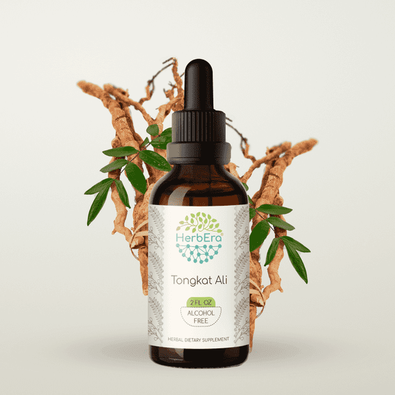 HerbEra Tongkat Ali Tincture, Herbal Dietary Supplement for Energy and Vitality Support, Tongkat Ali (Eurycoma longifolia) Dried Root Extract, Natural, Alcohol-Free, Drops 2 oz