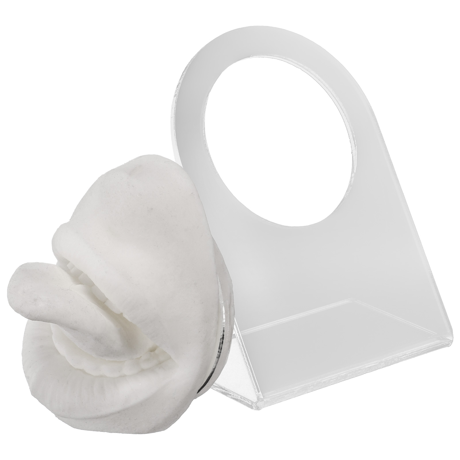 Tongue Nail Model Training Body Part Simulation Face Mannequin Piercing