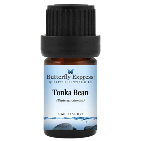 Tonka Bean Essential Oil 5ml - 100% Pure by Butterfly Express