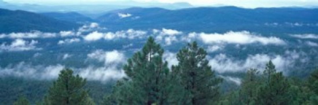 Tonto National Forest AZ Canvas Art - Panoramic Images (37 x 12)