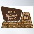 thumbnail image 1 of Tonto National Forest Poster Wall Art, Modern Wall Decor, 16x24 UNFRAMED, 1 of 3