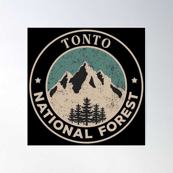 Tonto National Forest Poster Wall Art, Modern Wall Decor, 24x24 UNFRAMED