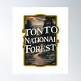 thumbnail image 1 of Tonto National Forest V3 Poster Wall Art, Modern Wall Decor, 12x18 UNFRAMED, 1 of 3
