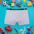 thumbnail image 1 of Tony & Ava Soft Cotton Boys Underwear, Highly Absorbent Potty Training & Pull Ups Underwear for Kids, Machine-Washable, Overnight, Flex Boxer Briefs(Grey, Small), 1 of 2