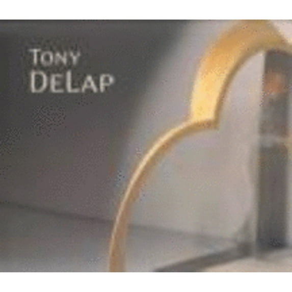 Pre-Owned Tony Delap (Paperback 9780917493317) by Bruce Guenther