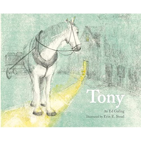 Pre-Owned Tony (Hardcover) 9781626723085
