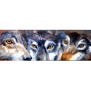 Too Close for Comfort 500 Piece Jigsaw Puzzle by SunsOut