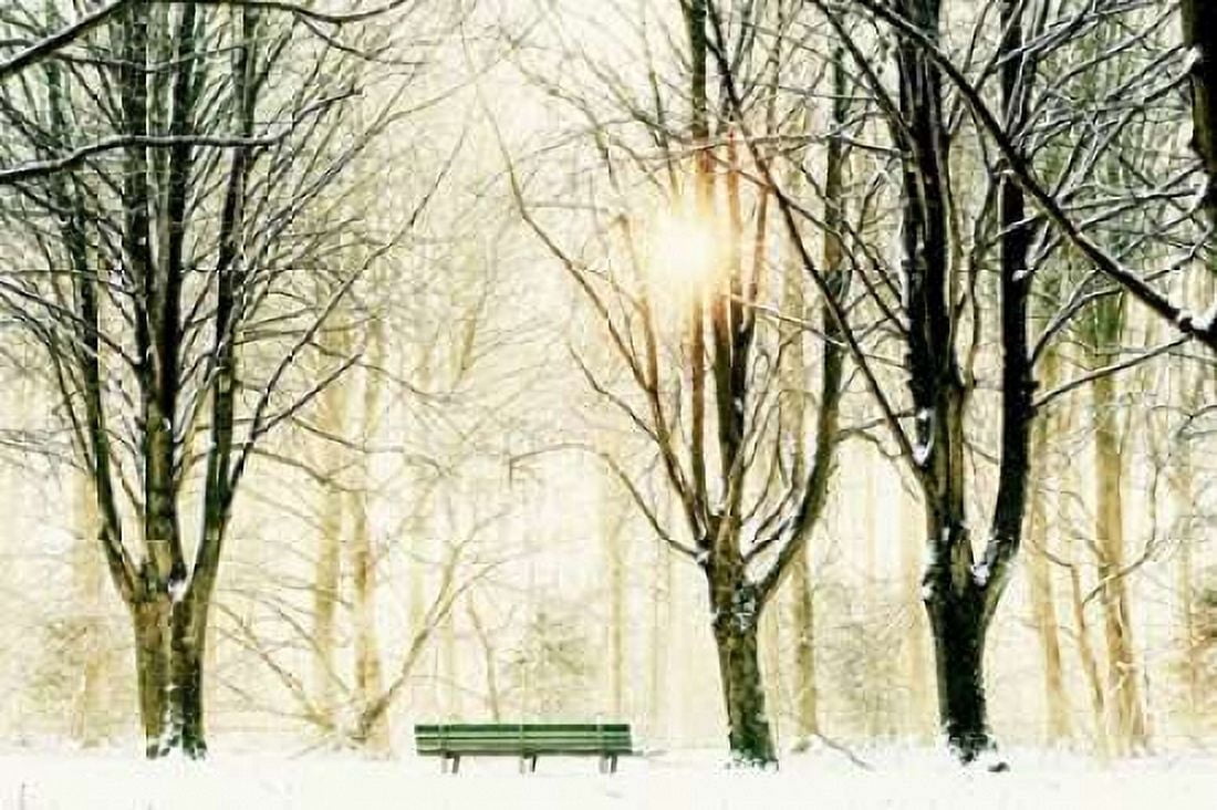 Too Cold To Sit Canvas Art - Lars Van de Goor (24 x 36)