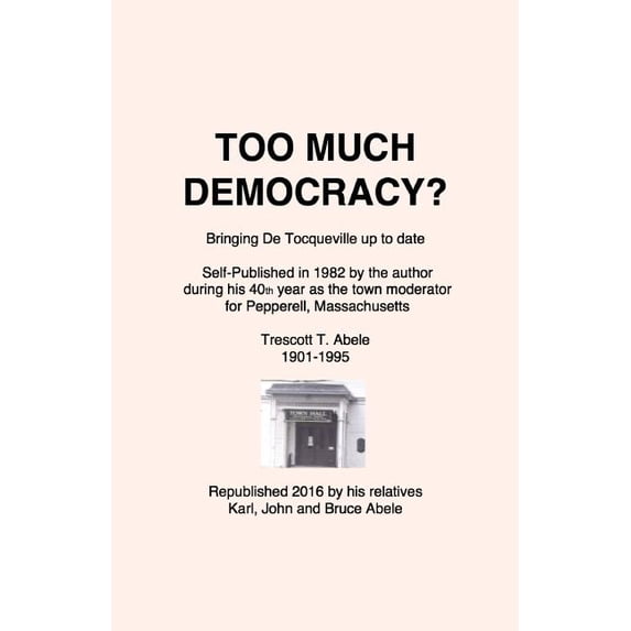 Too Much Democracy? : Bringing De Tocqueville up to date (Paperback)