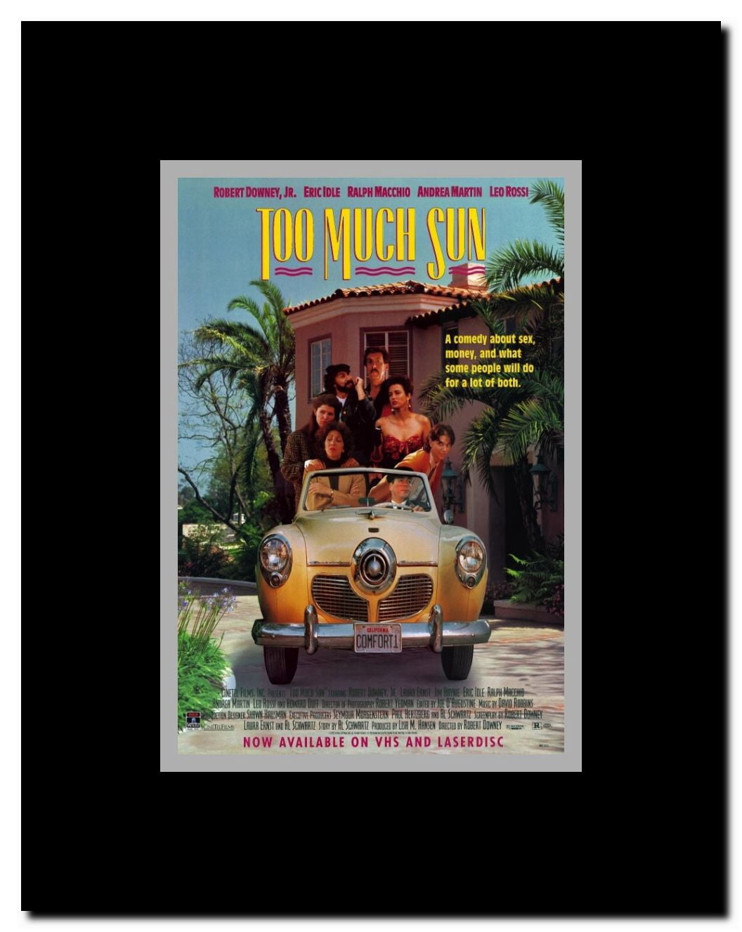 Too Much Sun Framed Movie Poster