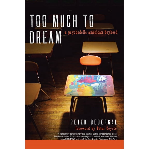 Too Much to Dream : A Psychedelic American Boyhood (Paperback)