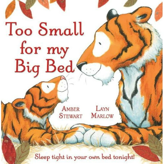 Pre-Owned Too Small for My Big Bed (Hardcover) 0764165879 9780764165870
