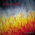 thumbnail image 1 of Tool Silence Blazing Ice (Vinyl Record), 1 of 1