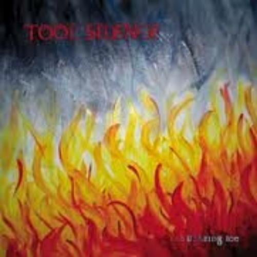 Tool Silence Blazing Ice (Vinyl Record)