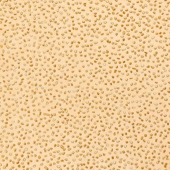 ToolPro - Grade Carbide Bit Stucco & EIFS Rasp  Saw Rasp for Efficient Surface Finishing