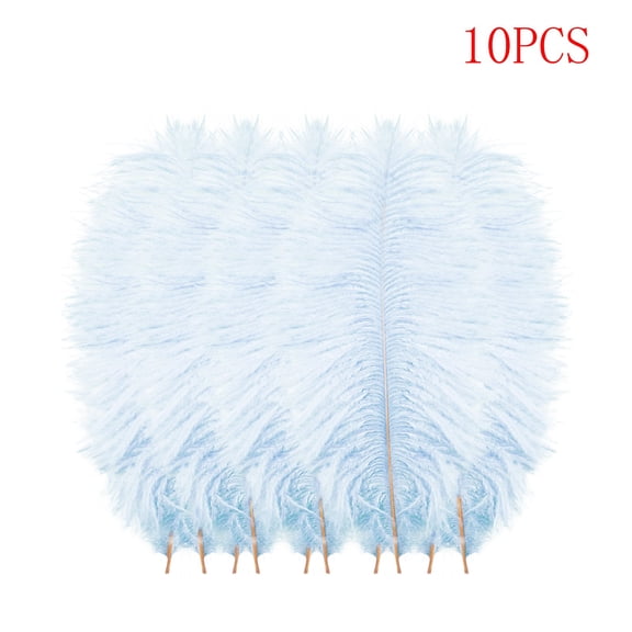 Toolix DIY Craft Feathers 10 Pcs Multicolor Plumage For Wedding Party Centerpieces Flower Arrangement Home Decoration Diy Big Floating Plume Hair Craft Decoration Wedding Plumage