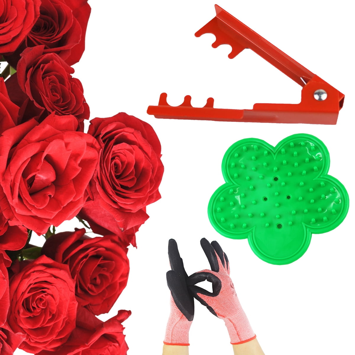Metal Thorn Remover Kit Rose Leaf Stem Stripper Floristry Garden Stripping  Tool with Plastic Hand Tool for Roses & Garden 1 Red Clip & 1 Green Pad