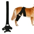 thumbnail image 1 of Toorise Dog Leg Braces Adjustable Dog Knee Brace Comfortable Dog Leg Hip Brace with Metal Support Bar Extra Support Knee Brace for Dog Hip Dysplasia Luxating Patella, 1 of 11