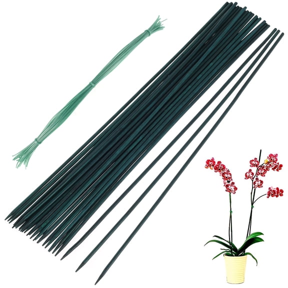 Toorise Plant Support Stakes 30Pcs Bamboo Floral Support Pole Multipurpose Green Garden Bamboo Sticks with 30Pcs Plant Fixing Ties for Garden Potted Plant Vine Plant Floral