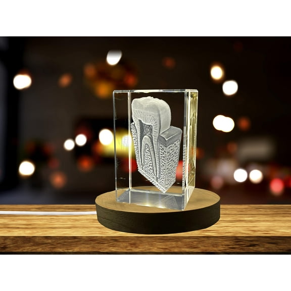 Tooth Are | 3D Engraved Crystal Keepsake | Gift for Dentist | Clear - AB Crystal Collection