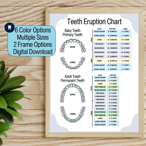 Tooth Chart Dental Wall Art Print, Unframed Paper Poster 8x10in