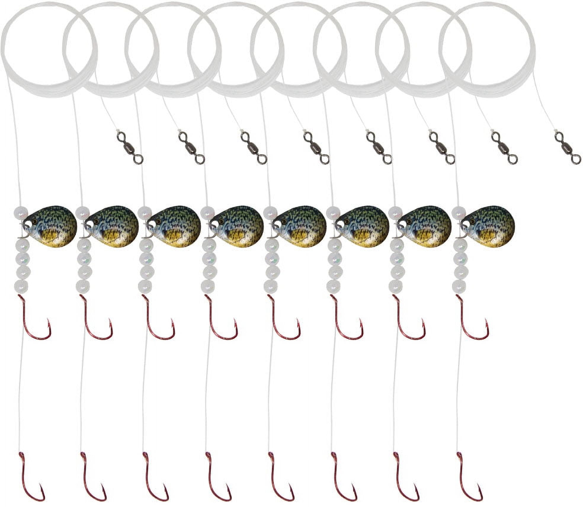 Tooth Shield Tackle 8 Pack Walleye Crawler Harness Spinner Rig #2 Live  Series Colorado Blade (Crappie) 