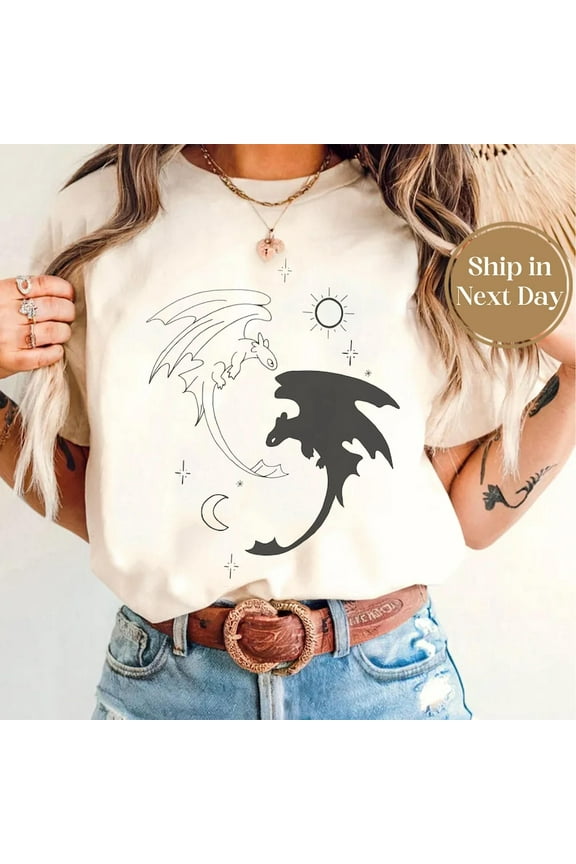 Toothless Dragon Shirt, Toothless And Light Fury Shirt, How To Train Shirt, Toothless Shirt