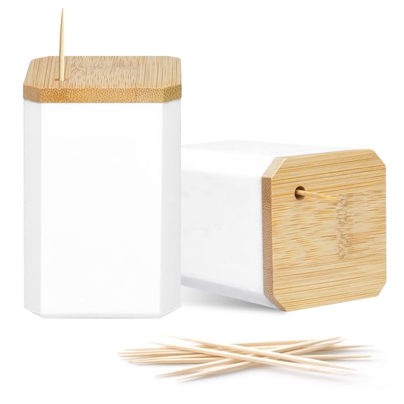Toothpick Holders 1 Pack with 3000Picks,Round Toothpicks Double-Side Point for Teeth,Food Pick,Appetizers,Cocktails Fruits,Olive&DIY Craft.