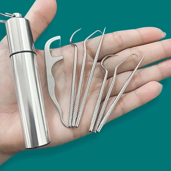 Toothpick Set Tooth Flossing Reusable Aluminium Alloy Toothpicks Portable Toothpick Floss Teeth Cleaner Oral Cleaning