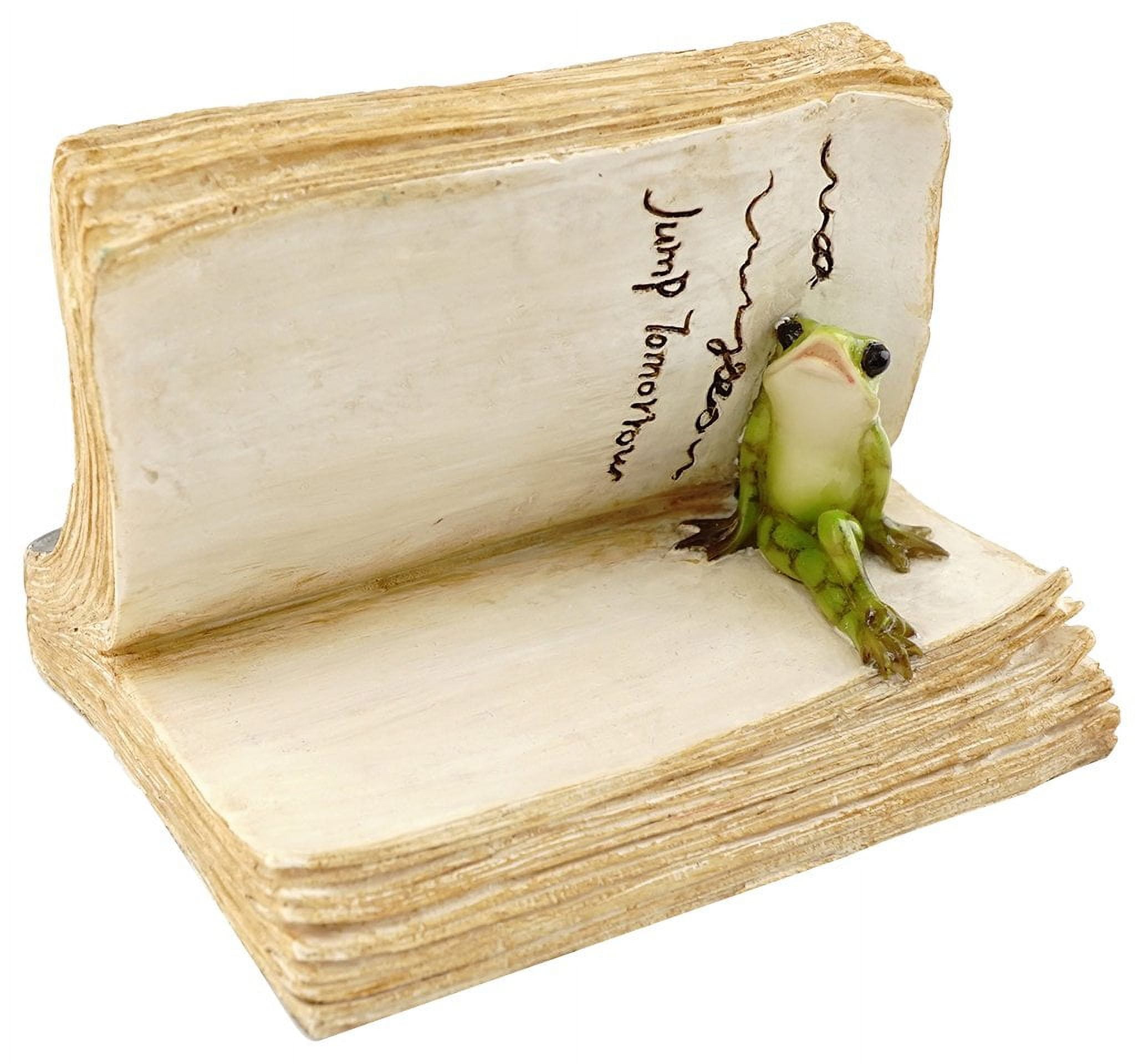 Top Collection Miniature Fairy MMF7 Garden and Terrarium Frog on Book