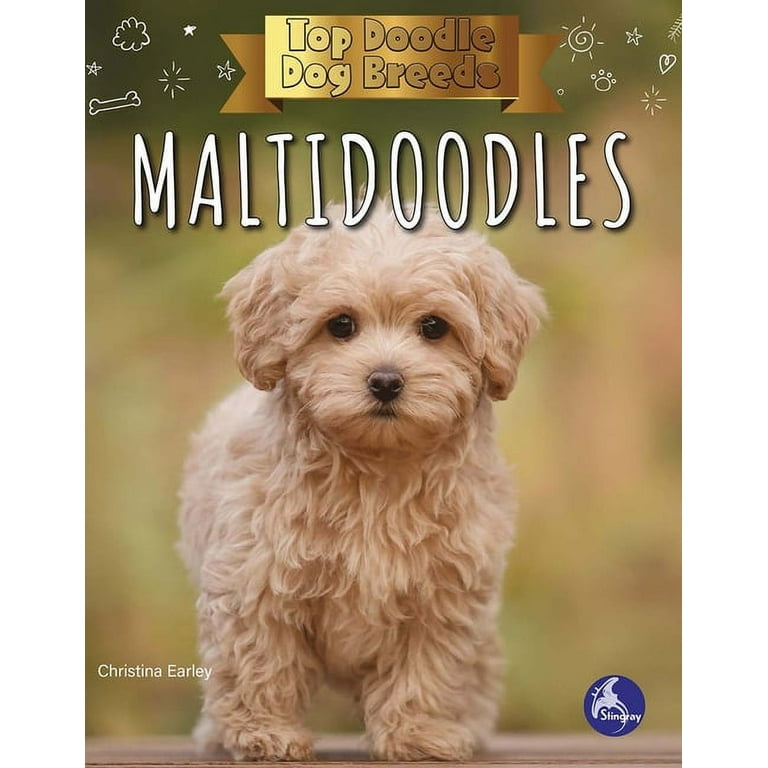 Top doodle cheap breeds