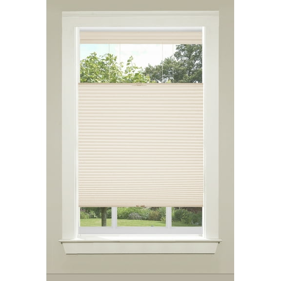 Top Down/Bottom Up Cordless Cellular Ivory 23x64