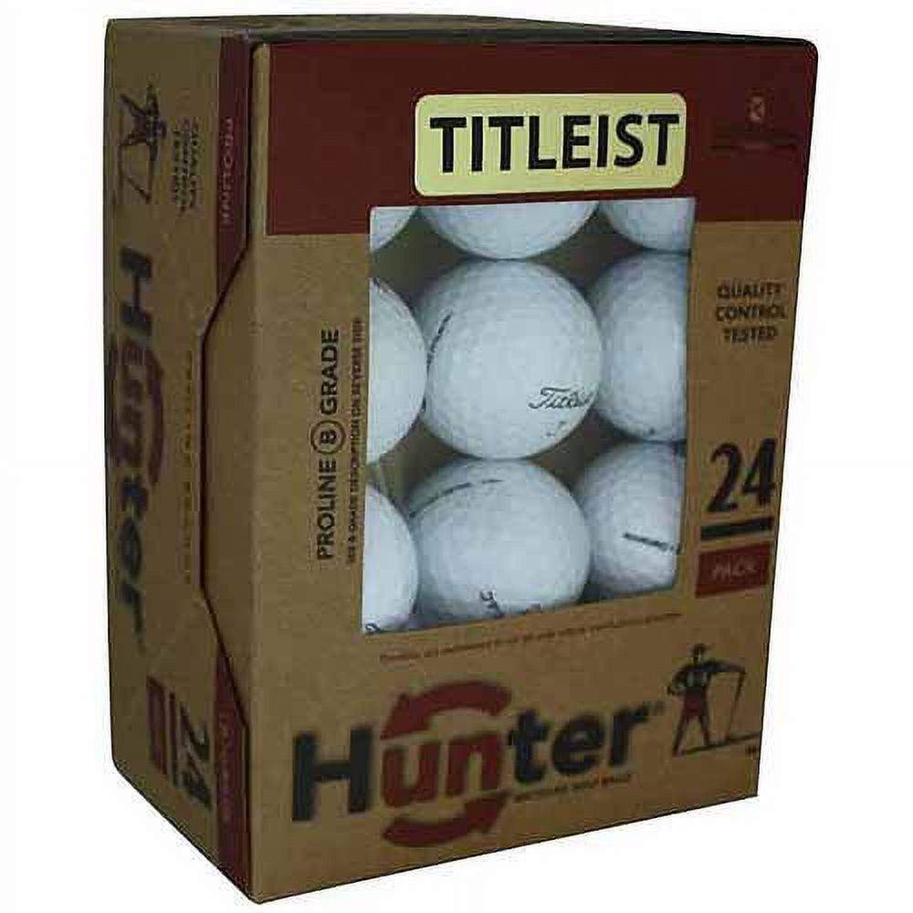 Top Golf Ball Brand Mix Golf Balls, Near Mint, 4a, AAAA Quality, 24 Pack, White