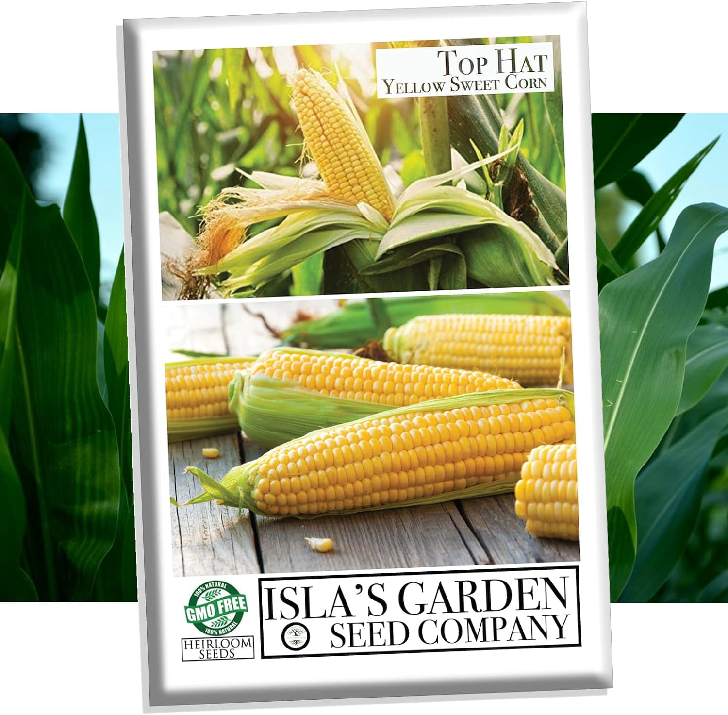 Top Hat Yellow Sweet Corn Seeds, 25+ Seeds Per Packet, Non GMO ...