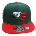 thumbnail image 1 of Top Level Mexico Flag Caracara Eagle Coat of Arms Green Snapback Hat, 1 of 2