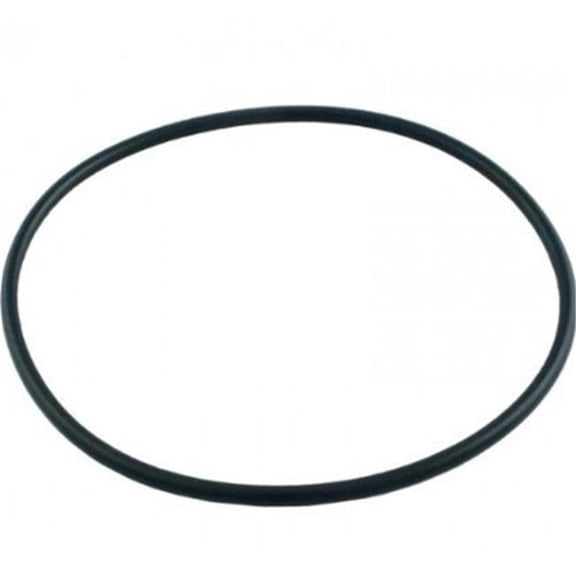 Top O-Ring Replacement Six-Way 1.5 in. Hi-Flow Multiport Valve