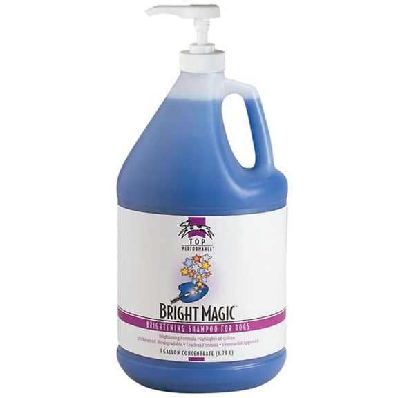 Top Performance Gallon Pump