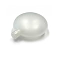 thumbnail image 1 of Top Performance TP Training/Replacement Squeaker, 1 of 1
