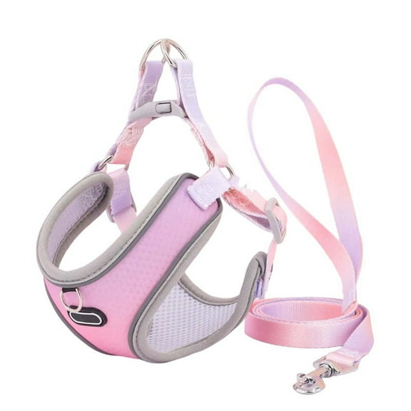 Top Sales Escape Proof Cat Harness and Leash Set Adjustable Mesh Dog Vest Puppy Pet Walking Lead Leash(B), S