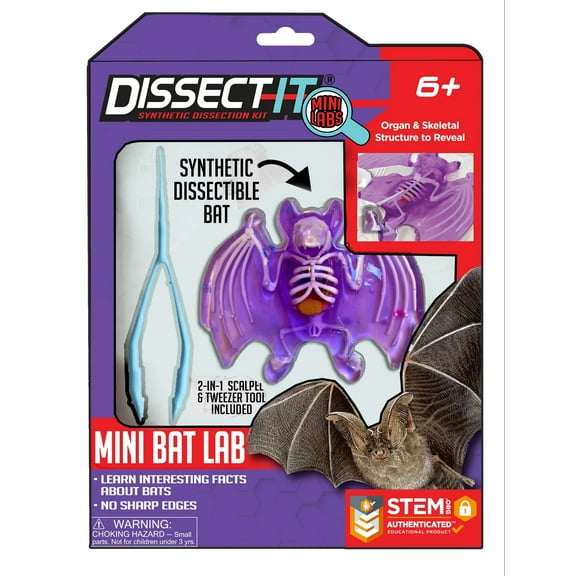 Top Secret Toys - Dissect It: A Synthetic Bat Dissection Kit, MINI