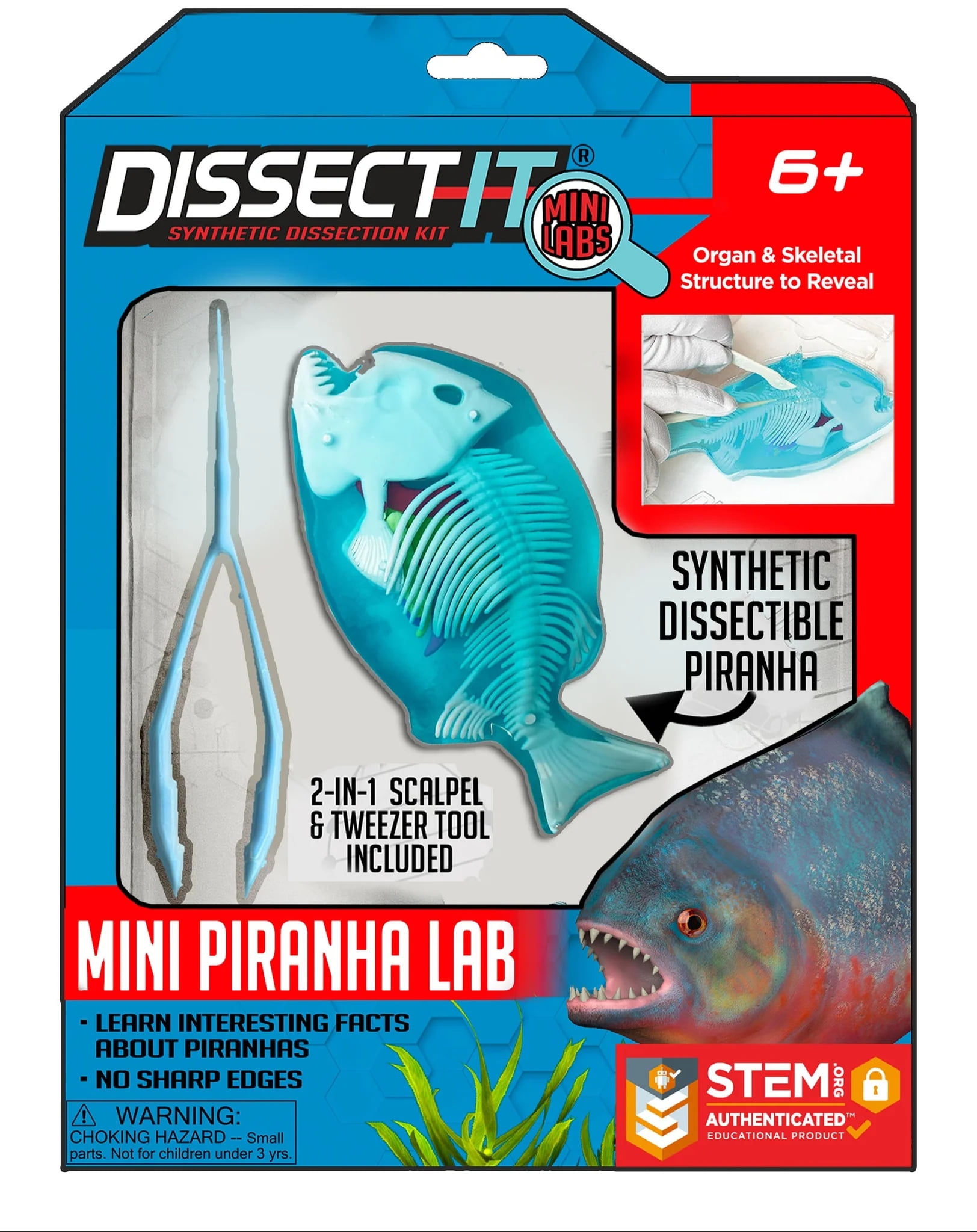 Top Secret Toys - Dissect It: A Synthetic Piranha Dissection Kit, MINI ...
