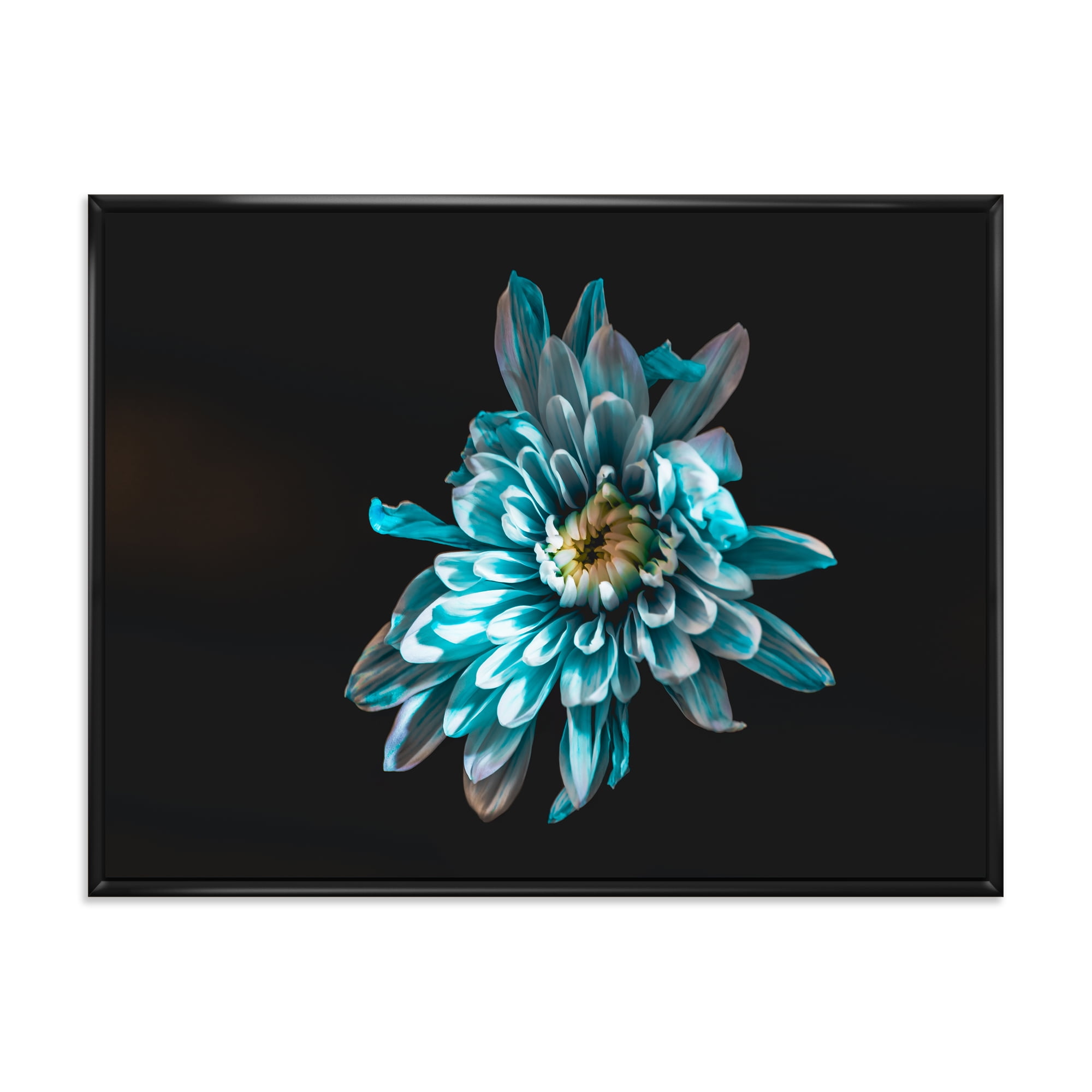 Top View of White and Blue Flower 32 in x 16 in Framed Photography Canvas Art Print, by Designart