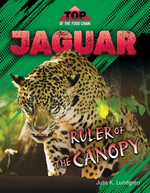 Top of the Food Chain Jaguar: Ruler of the Canopy, (Paperback)