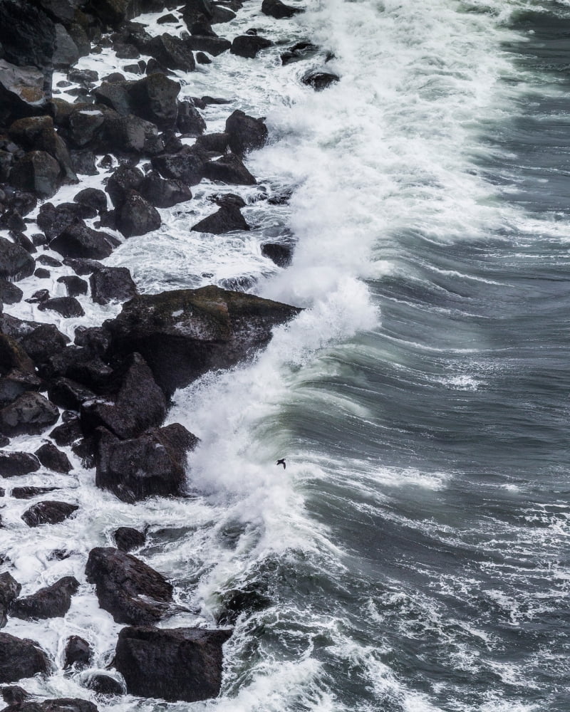Top view of the coastline South Coast Iceland Canvas Art - Panoramic Images (22 x 27)