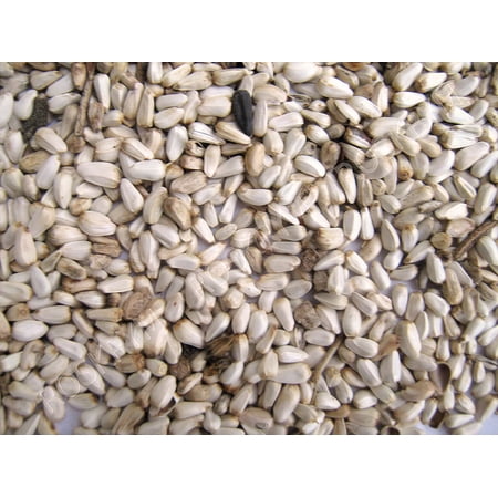Safflower Seed