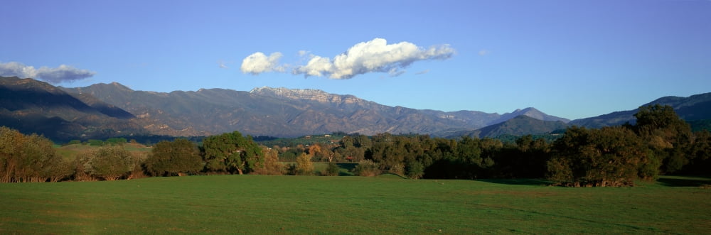 Topa Topa Mountains Ojai California Canvas Art - Panoramic Images (36 x 12)