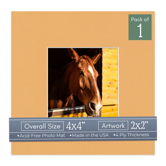 Topaz Orange Picture Frame Mat for 4x4 Inch Frames - Fits 2x2 Photos - 1 Mat