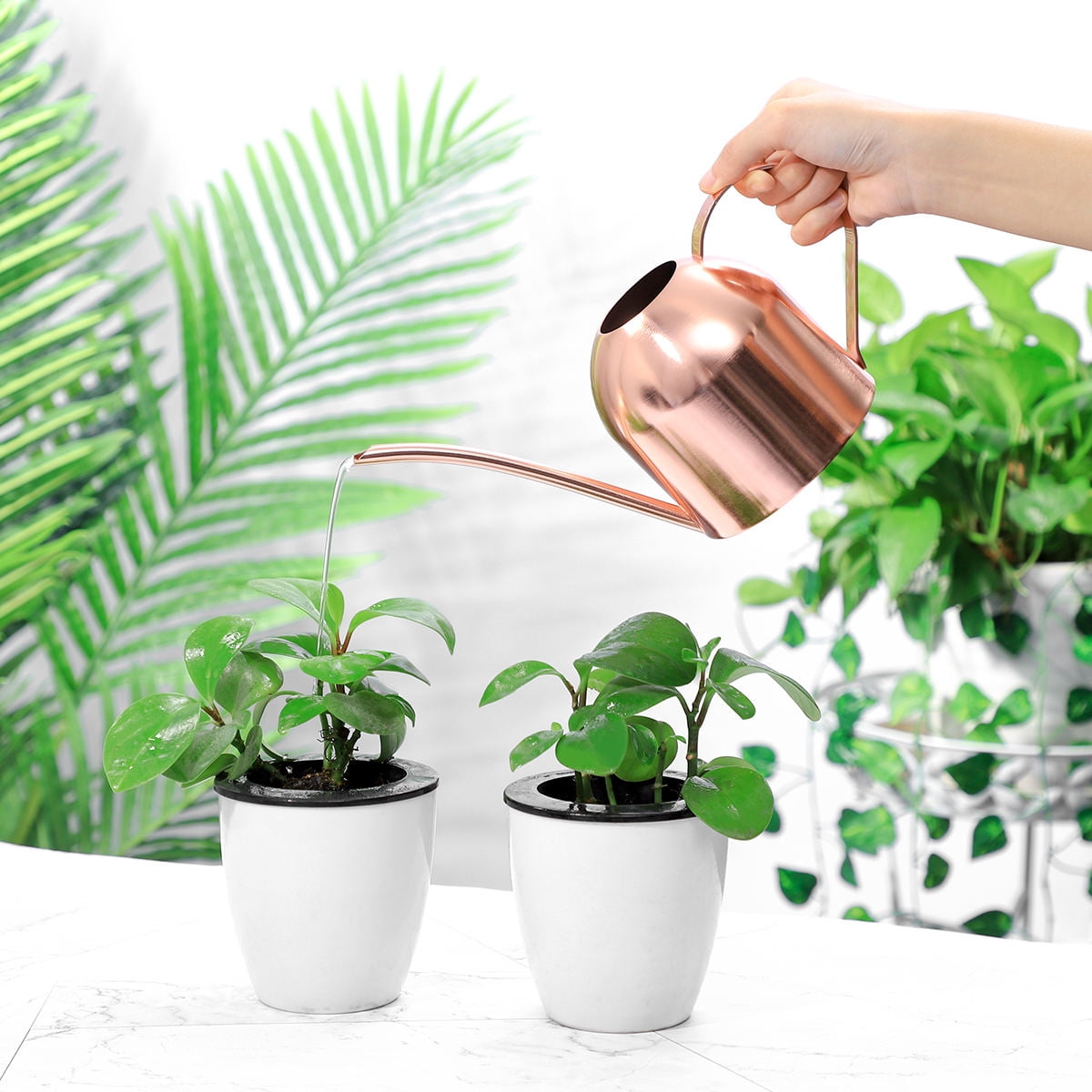 Topbathy 1000ml Stainless Steel Watering Can for Indoor Plants Succulents Long Spout Watering Pot for Office Copper