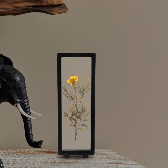 Topbathy Plastic Floating Frame Display Case with Spacesaving Stand for Home