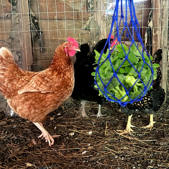 Topbathy 1Pc Durable Blue Nylon Mesh Bag Livestock Feeder Convenient Hanging Poultry Food Container